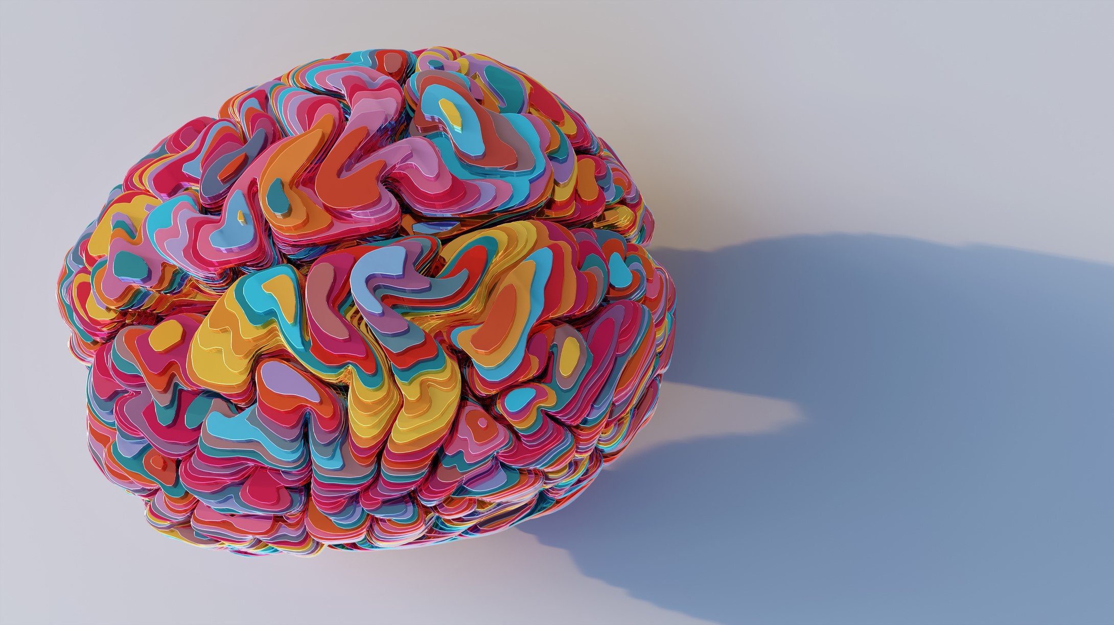 colorful brain art model